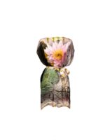 Roberto Cavalli Abito Taglia 42 IT